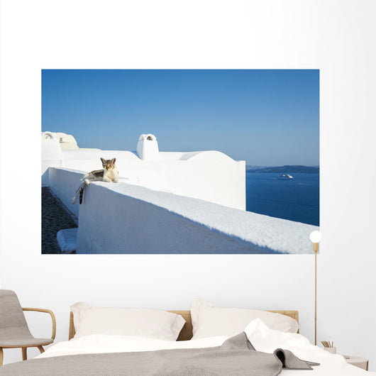 Cat Lays Whitewash Wall - Wall Decal