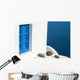 Whitewash Building with Blue Wall Decal