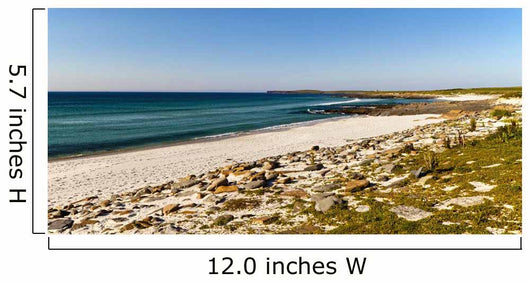 Grobust Beach Wall Decal