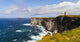 Marwick Head Rspb Nature Wall Decal Design 2