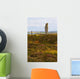 Ring Brodgar Wall Decal