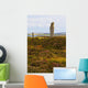 Ring Brodgar Wall Decal