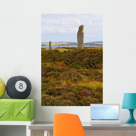 Ring Brodgar Wall Decal