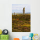 Ring Brodgar Wall Decal
