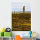 Ring Brodgar Wall Decal