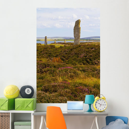 Ring Brodgar Wall Decal