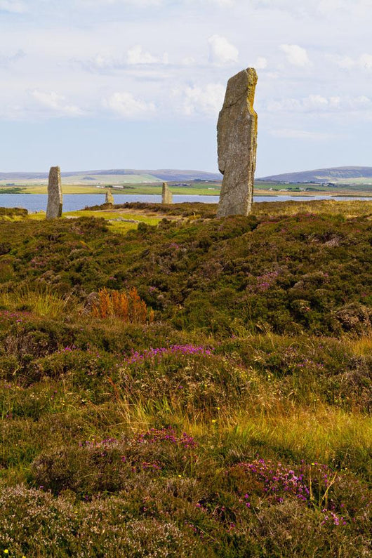 Ring Brodgar Wall Decal