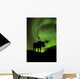 Silhouette of Moose with green Aurora Borealis Wall Mural