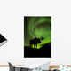 Silhouette of Moose with green Aurora Borealis Wall Mural