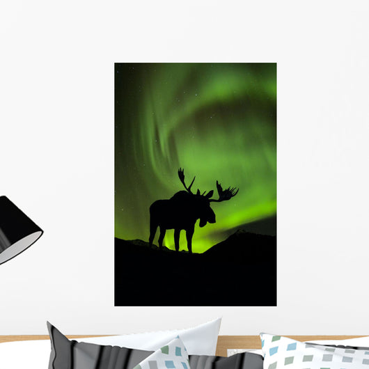Silhouette of Moose with green Aurora Borealis Wall Mural