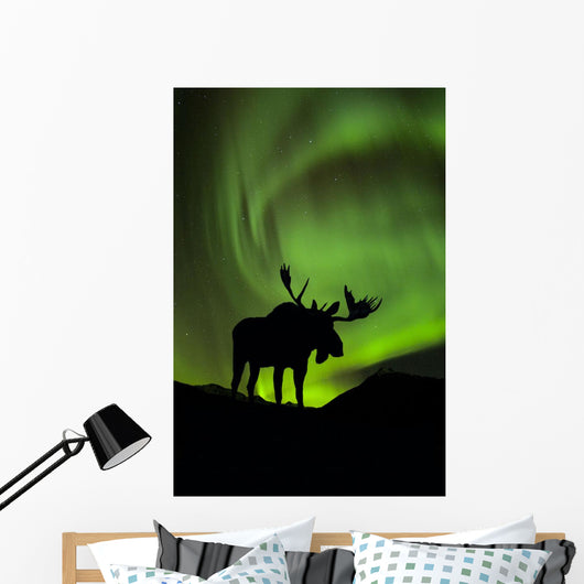Silhouette of Moose with green Aurora Borealis Wall Mural