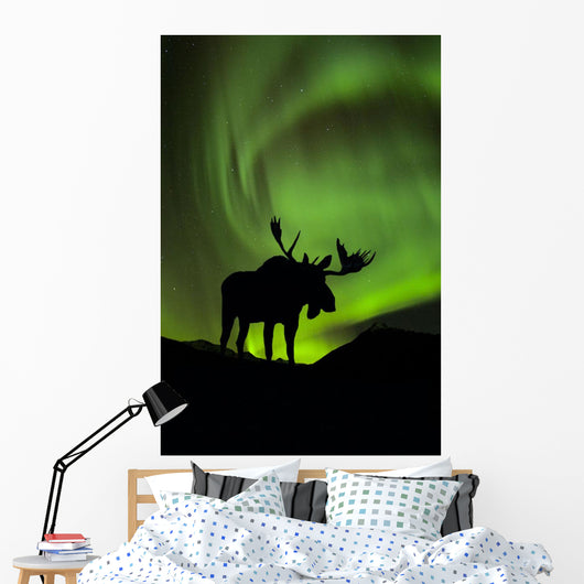 Silhouette of Moose with green Aurora Borealis Wall Mural