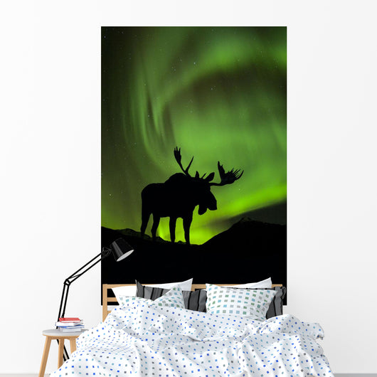 Silhouette of Moose with green Aurora Borealis Wall Mural