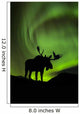 Silhouette of Moose with green Aurora Borealis Wall Mural