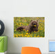 Brown Bear Forages Dandelions Wall Decal