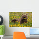 Brown Bear Forages Dandelions Wall Decal