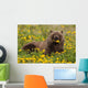 Brown Bear Forages Dandelions Wall Decal