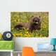 Brown Bear Forages Dandelions Wall Decal