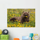 Brown Bear Forages Dandelions Wall Decal