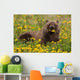 Brown Bear Forages Dandelions Wall Decal
