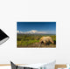 Grizzly Bear Walking alongside Wall Decal