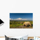 Grizzly Bear Walking alongside Wall Decal