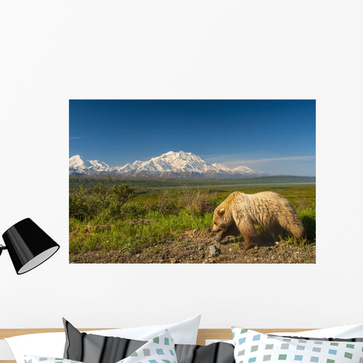 Grizzly Bear Walking alongside Wall Decal