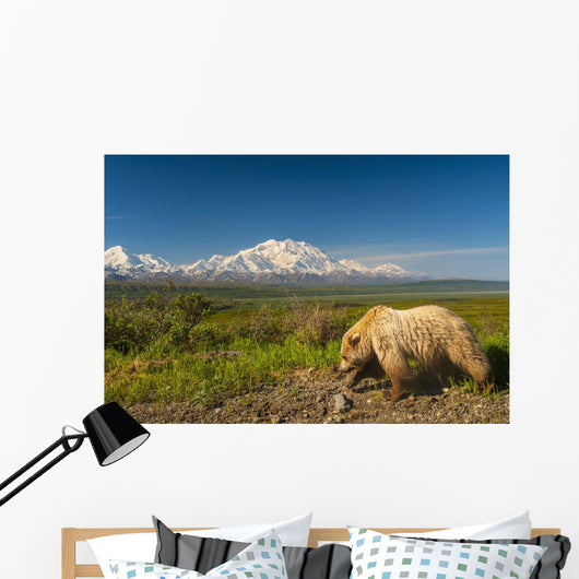 Grizzly Bear Walking alongside Wall Decal