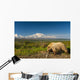 Grizzly Bear Walking alongside Wall Decal