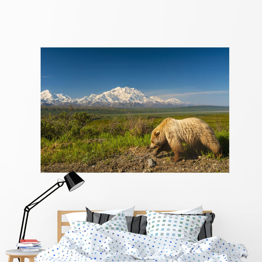 Grizzly Bear Walking alongside Wall Decal
