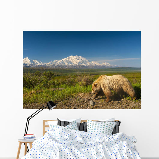 Grizzly Bear Walking alongside Wall Decal
