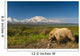 Grizzly Bear Walking alongside Wall Decal