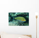 Striped Surgeonfish Are Often Wall Decal