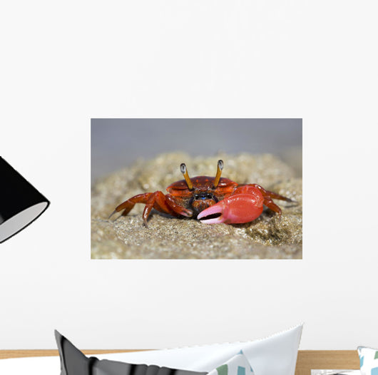 Fiddler Crab Sand Island Wall Decal