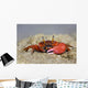 Fiddler Crab Sand Island Wall Decal