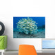 School Bluestripe Snapper Wall Decal