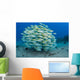 School Bluestripe Snapper Wall Decal