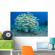 School Bluestripe Snapper Wall Decal