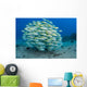 School Bluestripe Snapper Wall Decal