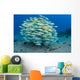 School Bluestripe Snapper Wall Decal