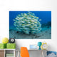 School Bluestripe Snapper Wall Decal