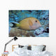 Striated Surgeonfish Wall Decal