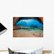A Whitetip reef shark by the Mala Wharf Wall Mural
