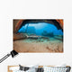 A Whitetip reef shark by the Mala Wharf Wall Mural