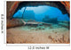 A Whitetip reef shark by the Mala Wharf Wall Mural