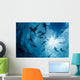 School Grey Reef Sharks Wall Decal