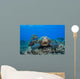 Several Green Sea Turtles Wall Decal Design 2