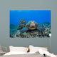 Several Green Sea Turtles Wall Decal Design 2