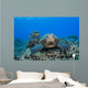Several Green Sea Turtles Wall Decal Design 2