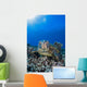 Green Sea Turtle Wall Decal